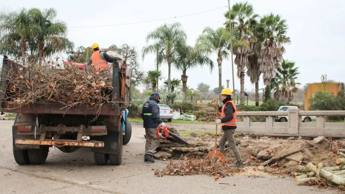 Realizan la poda invernal en la bajada de Costanera desde el puente Méndez Casariego