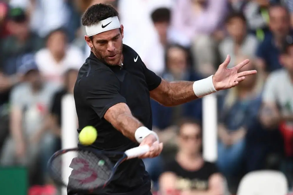 Del Potro encabeza la  legión argentina en París