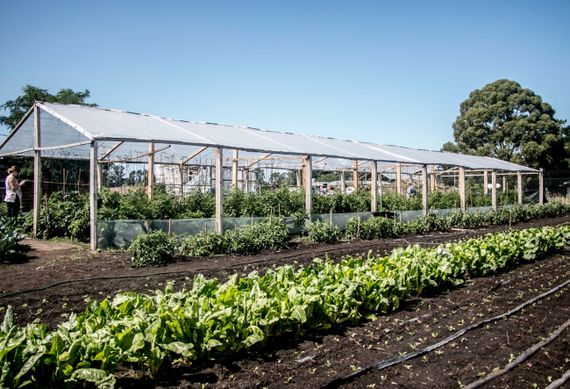 El Gobierno oficializó la eliminación de las retenciones para las economías regionales