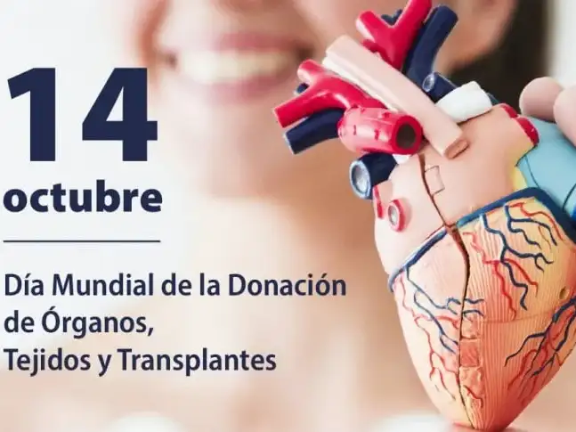 14 de octubre: Día Mundial de la Donación de Órganos, Tejidos y Trasplantes