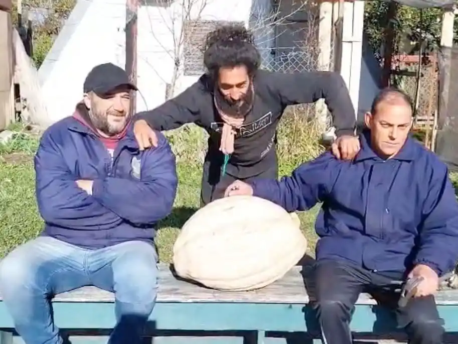 Un zapallo solidario: transforman un fruto gigante en alimento para compartir