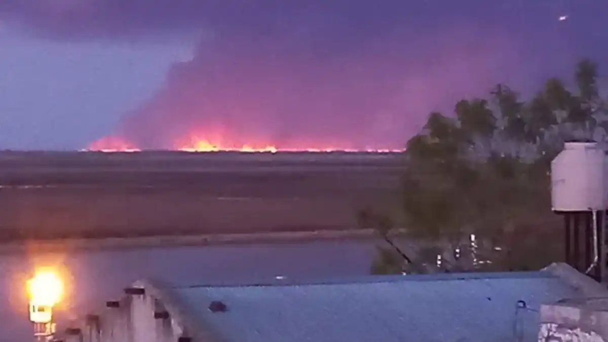 Delta del Paraná: 600 hectáreas quemadas en pocos días, aire tóxico, flora y fauna destrozadas