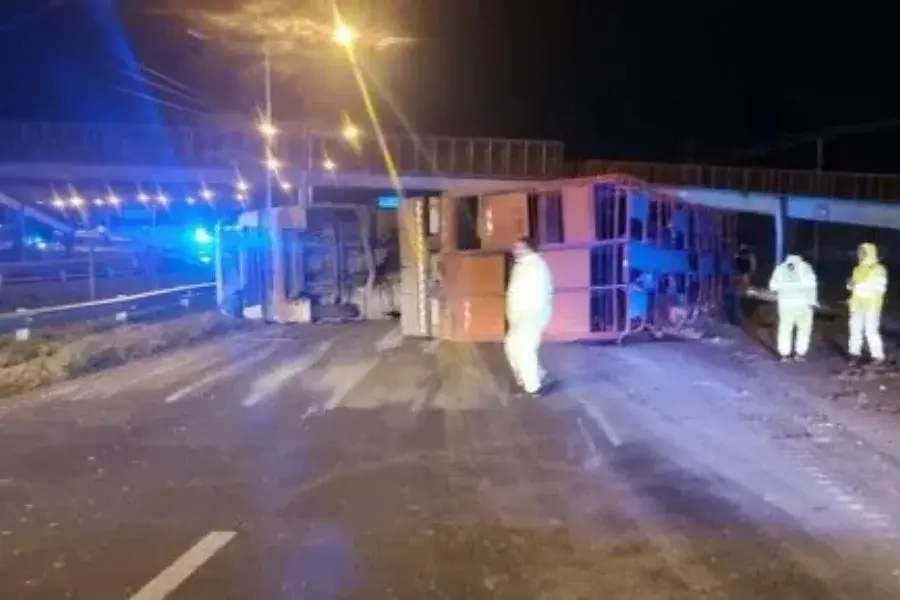Volcó un camión con ganado en Circunvalación.