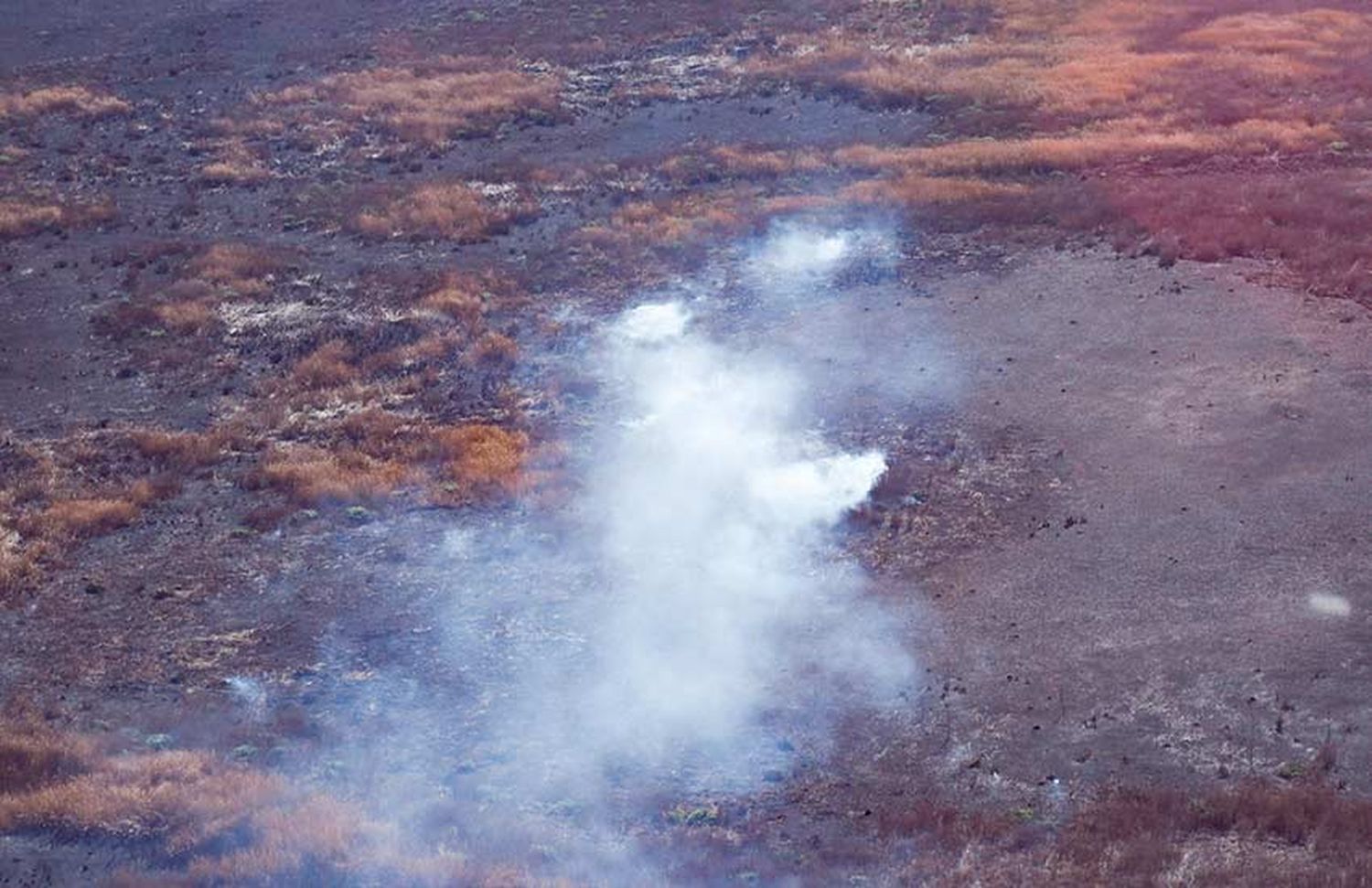 Según un especialista, los tres poderes del Estado tienen tareas pendientes para frenar los incendios en las islas: «Lo que se quiere es una acción»