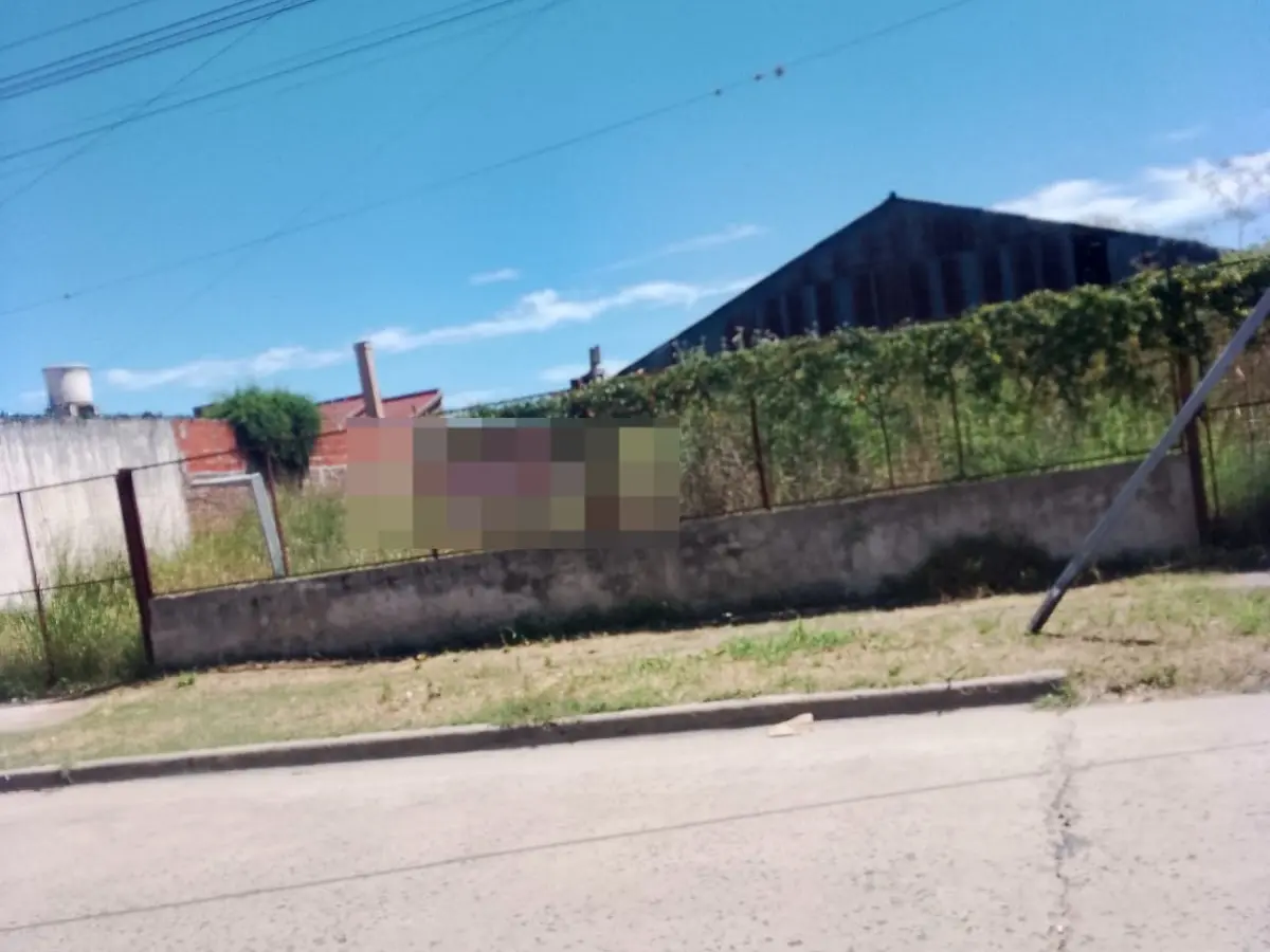 Quejas por el estado de un terreno