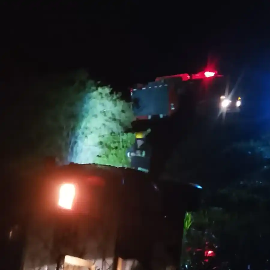 AUTOVÍA 14 - 4