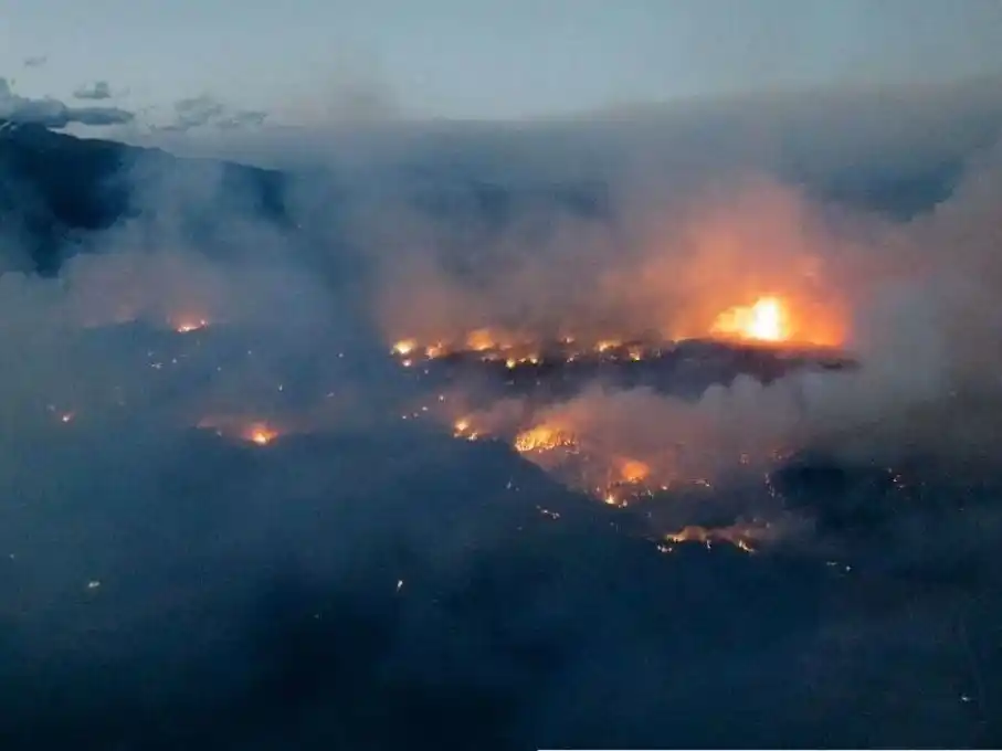 La confirmación de que los incendios fueron provocados intencionalmente generó indignación y en la sociedad.