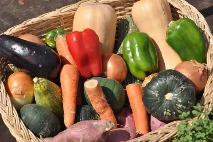  Feria de productos regionales