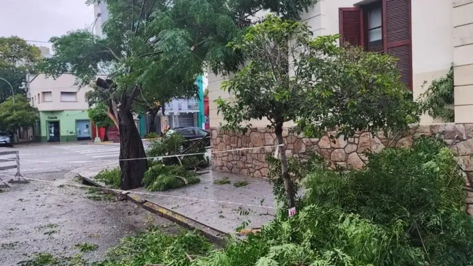 Casi un Centenar de Intervenciones por los Estragos del Temporal