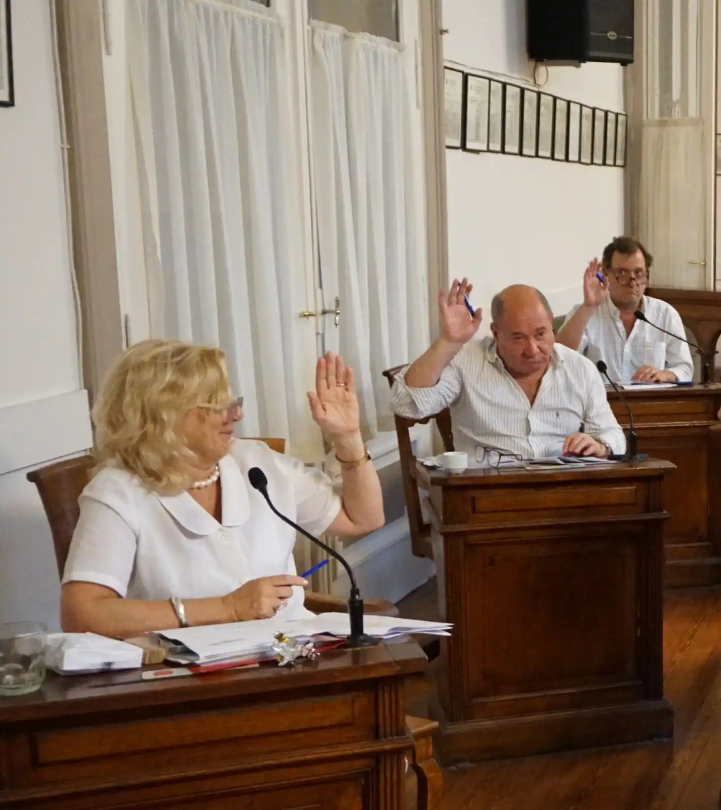 Los concejales de Alternativa Tandil celebraron la sanción del proyecto de ordenanza.