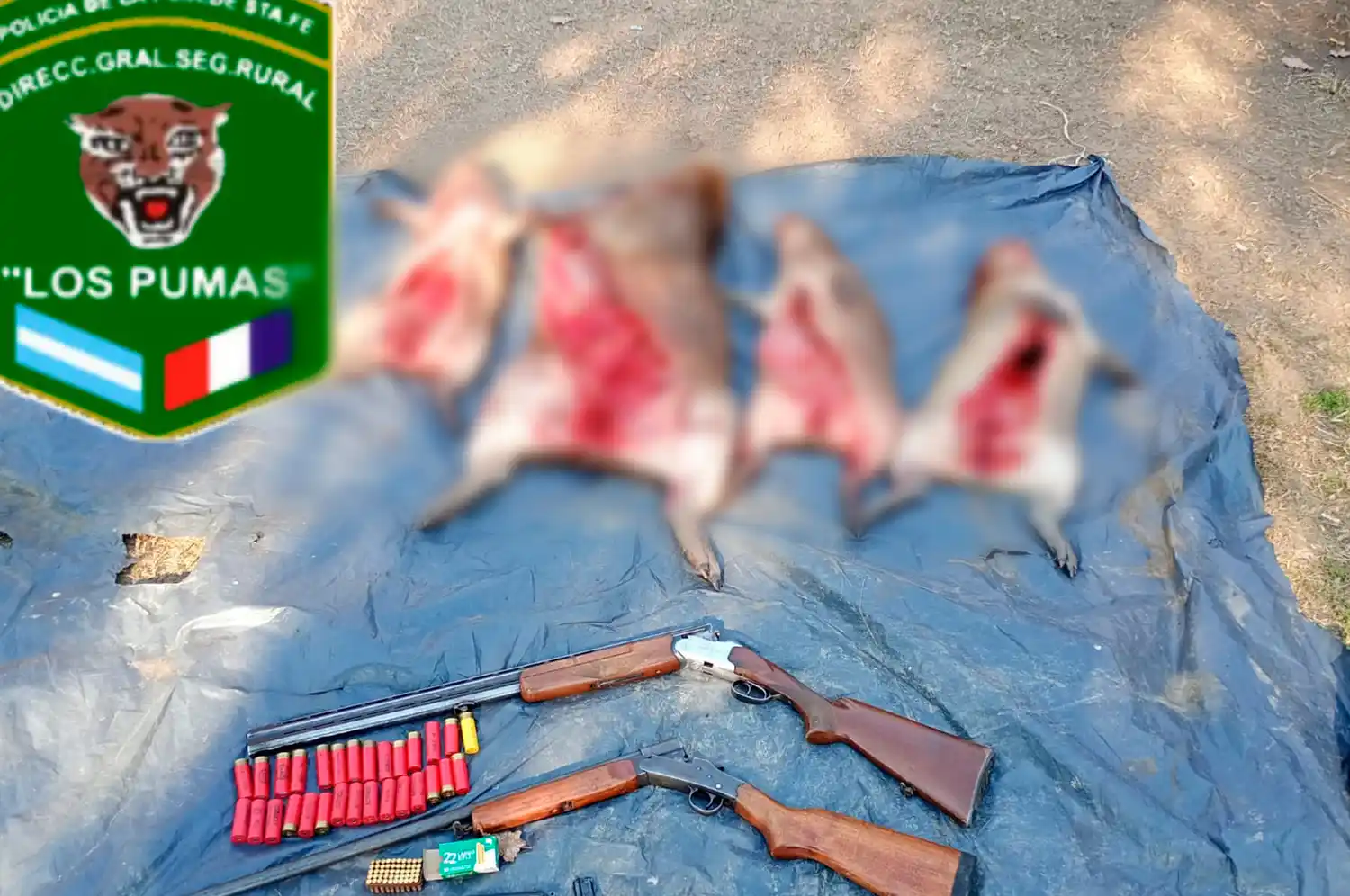 Detuvieron a tres cazadores ilegales en zona de islas con armas y carpinchos faenados