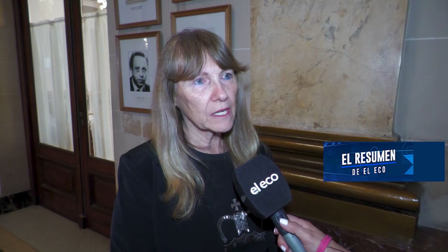 Se aprobó la regulación por animales sueltos en la vía pública