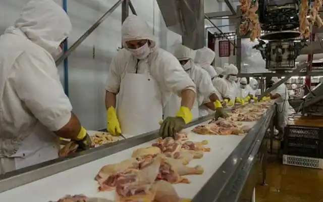 Prometen reducir a la mitad el IVA
para las carnes porcinas y avícolas
