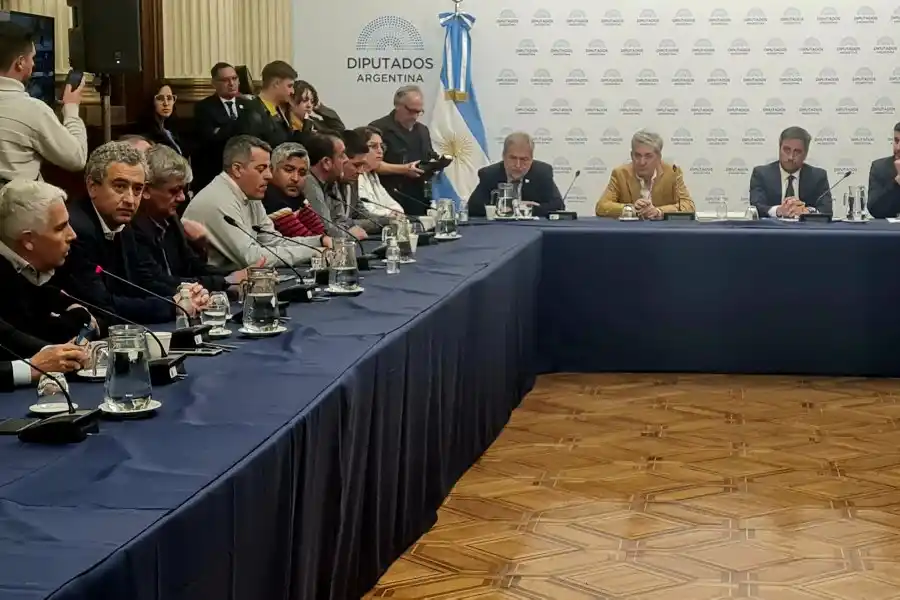 Mirabella, sobre los incendios en el delta: “queremos que el ejército y los brigadistas se queden hasta 2023”