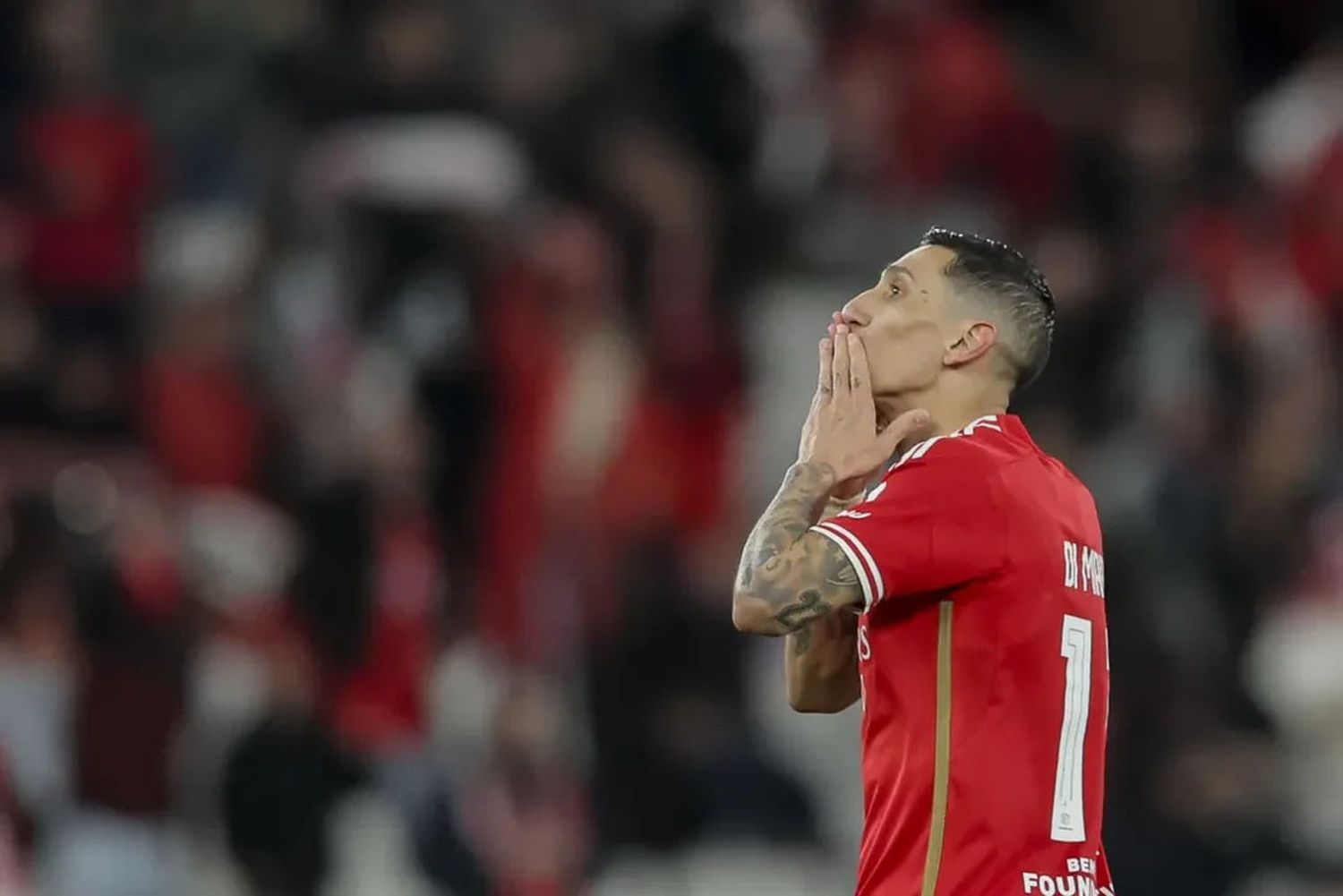 Ángel Di María se queda un año más en Benfica de Portugal