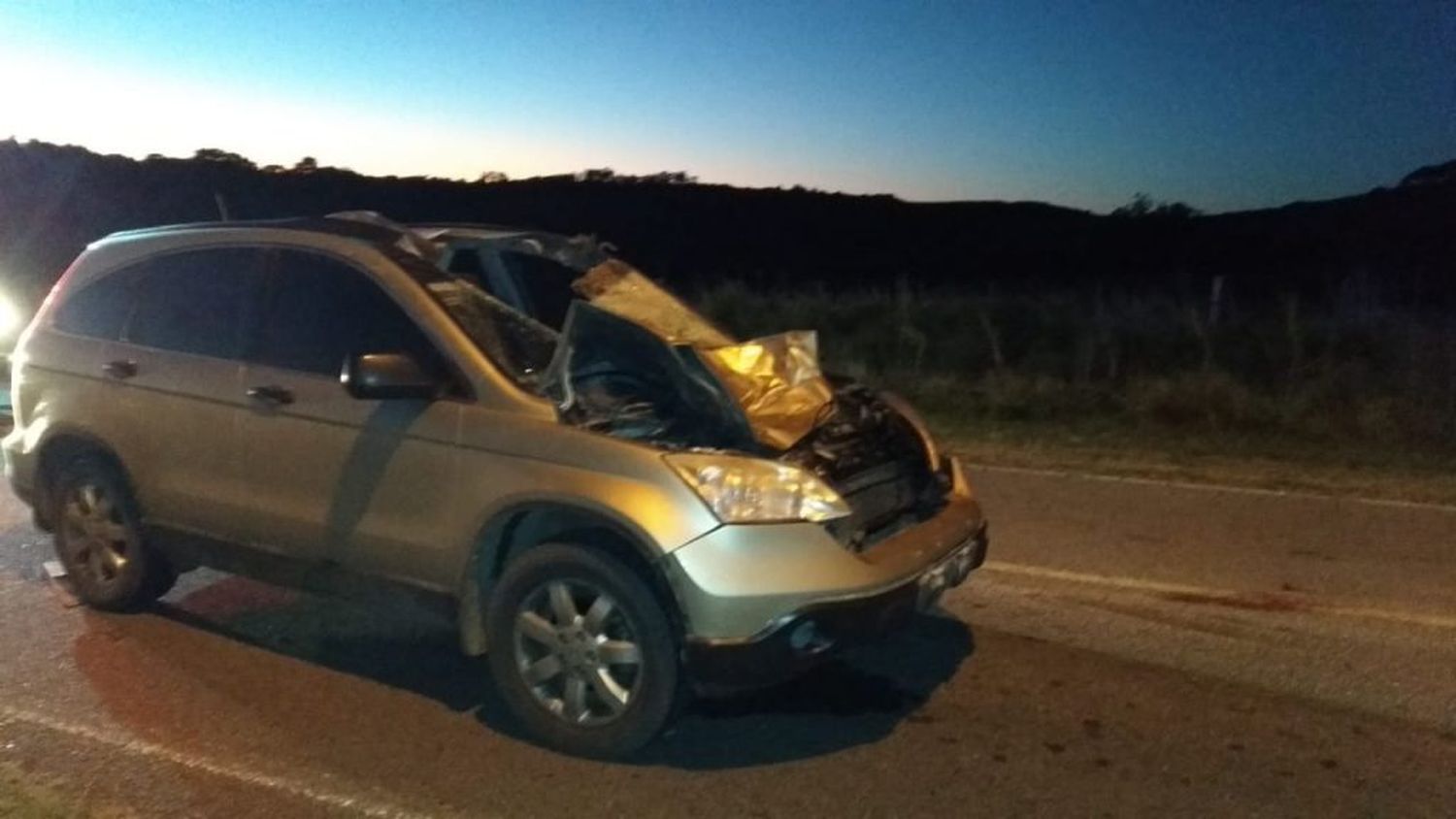 Una camioneta chocó contra un caballo suelto en la zona de El Centinela