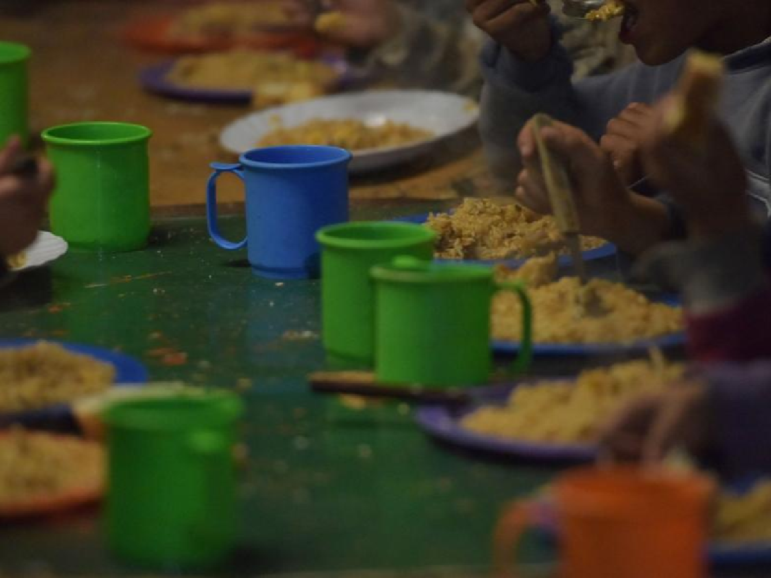 Mapificar el hambre en la Argentina: primeros resultados de la campaña "Comer bien"