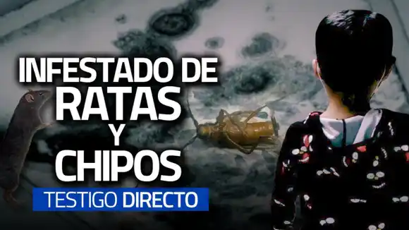 ¡NIÑOS EN PELIGRO! Hospital El Algodonal INFESTADO de ratas y chipos – TESTIGO DIRECTO