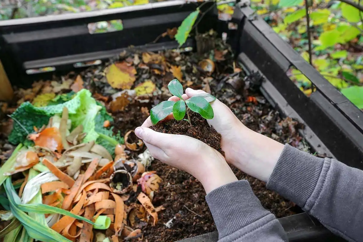 Día Mundial de la Educación Ambiental