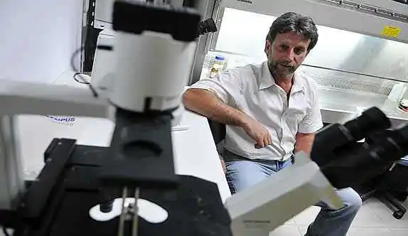 Crearon una plataforma para el desarrollo de vacuna orales