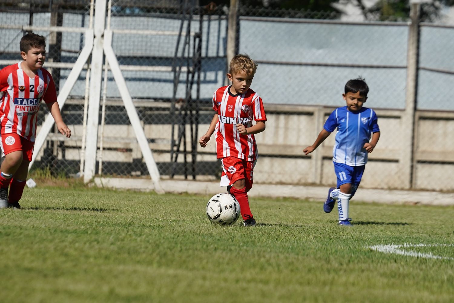 Las más chicos fueron los protagonistas del domingo.