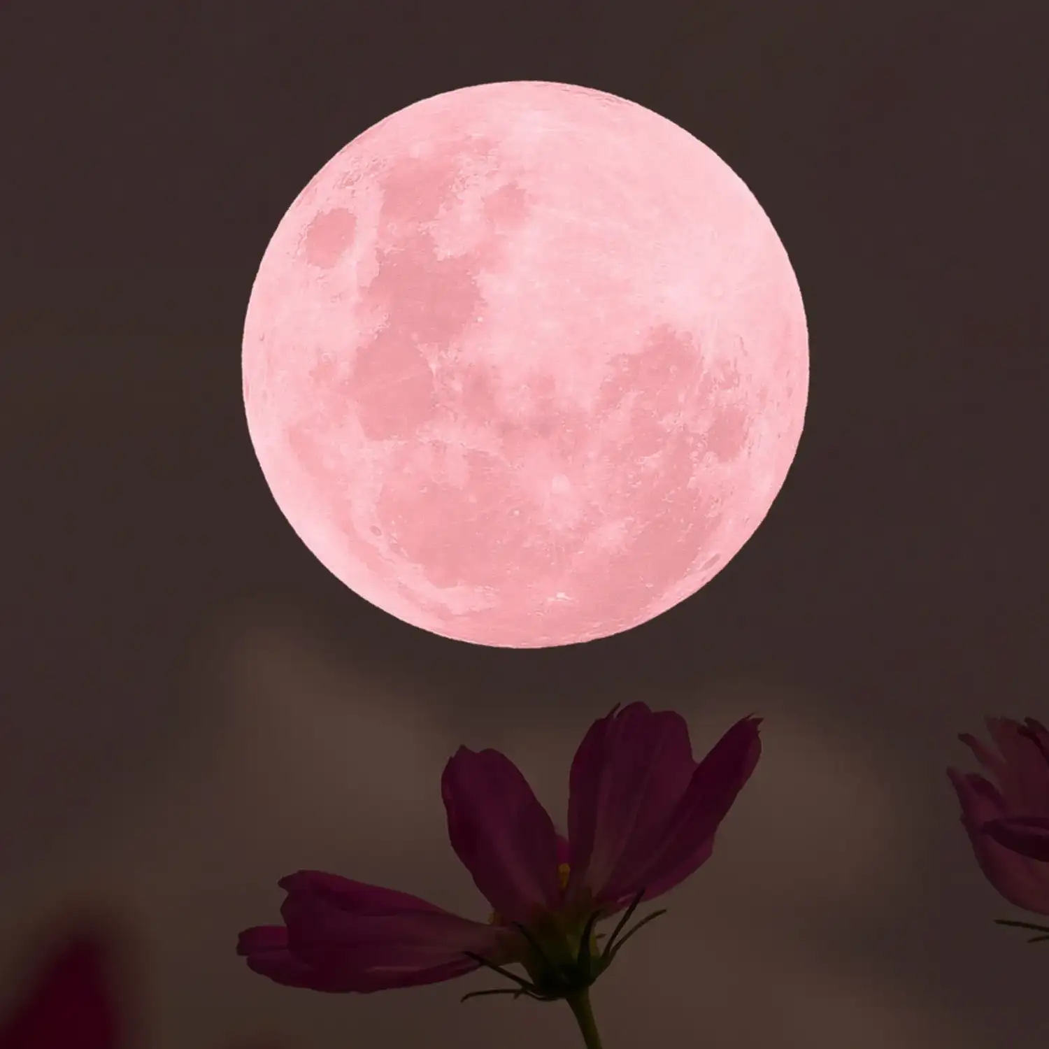Esta semana habrá una impactante "Luna de Fresa": ¿cuándo y cómo ver el fenómeno astronómico en Argentina? - 3