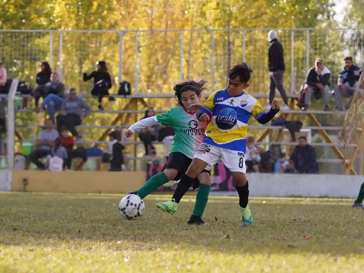 Se pueden definir nuevos campeones del Clausura