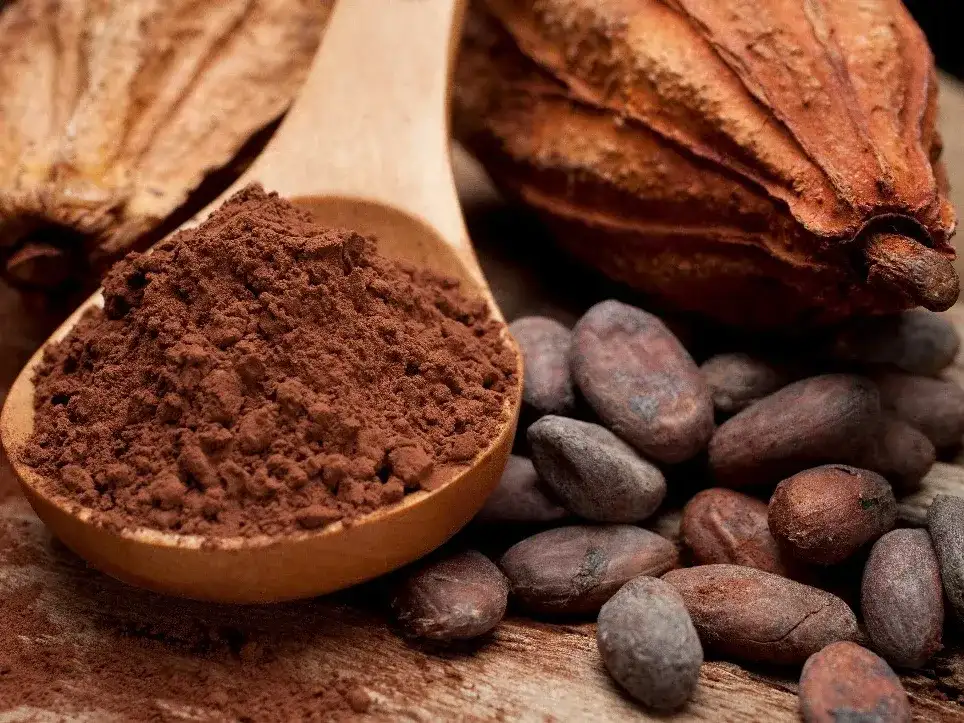 Se ubica entre los alimentos más queridos del mundo y con frecuencia se le asocia con beneficios para la salud.