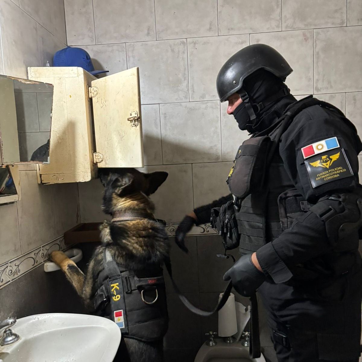perro fpa morteros