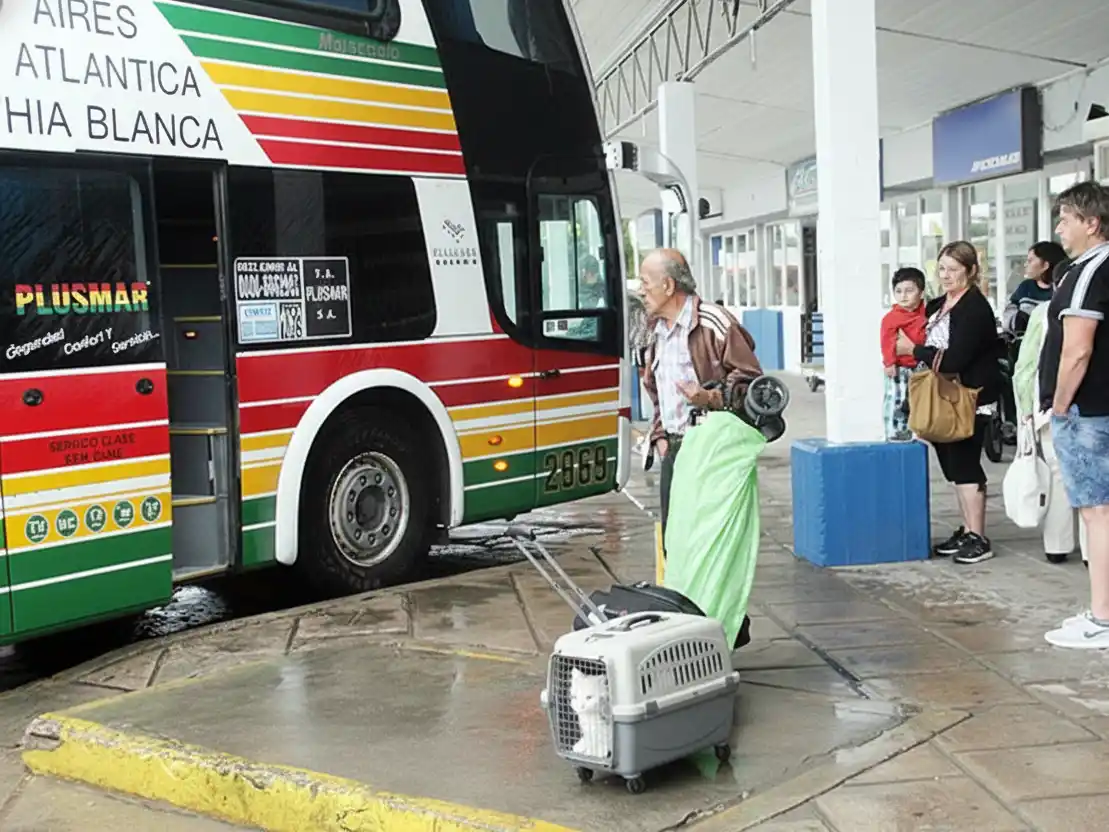 “Ninguna empresa a nivel nacional se va a  poder negar a que una persona se suba con un animal”