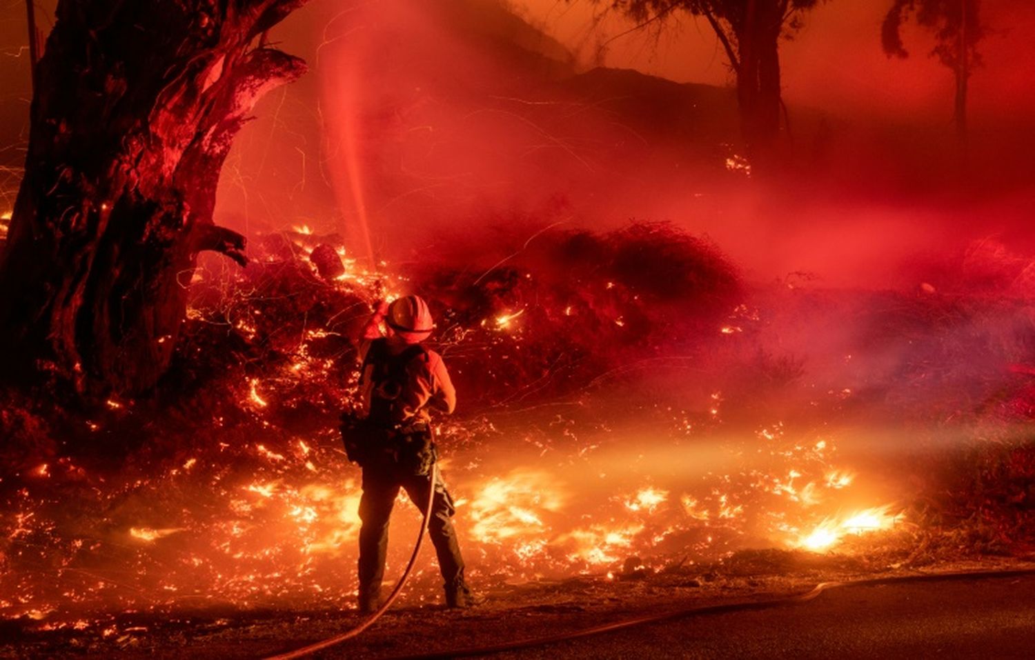 María, el nuevo incendio, arrasó 3.600 hectáreas