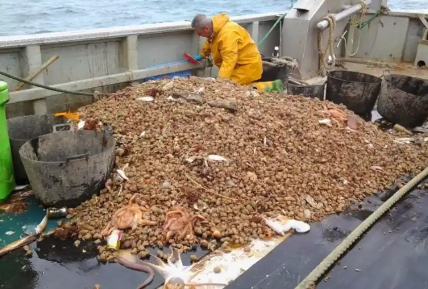 Pesca: preocupación del Ejecutivo marplatense por brote de coronavirus en Trelew