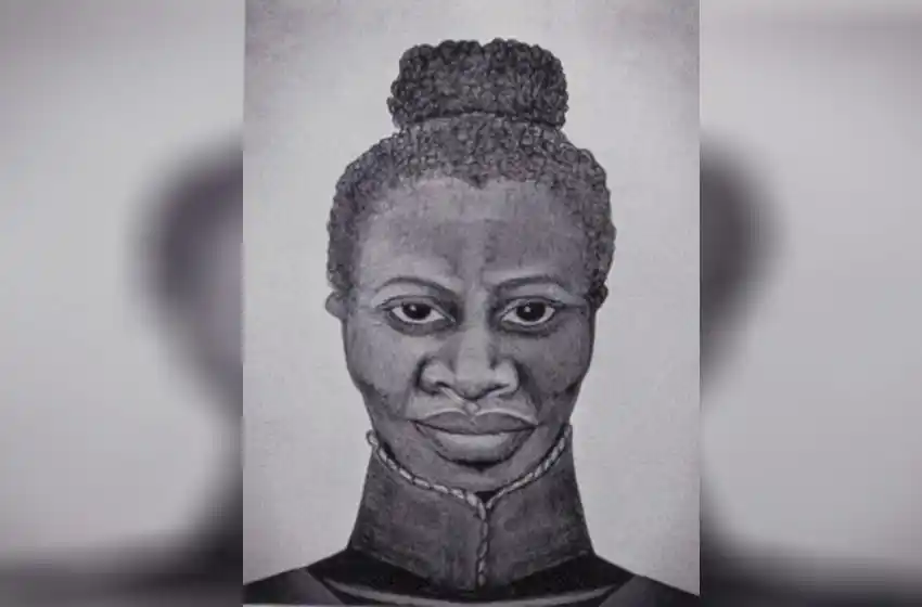 Proponen poner la imagen de María Remedios del Valle en algún billete