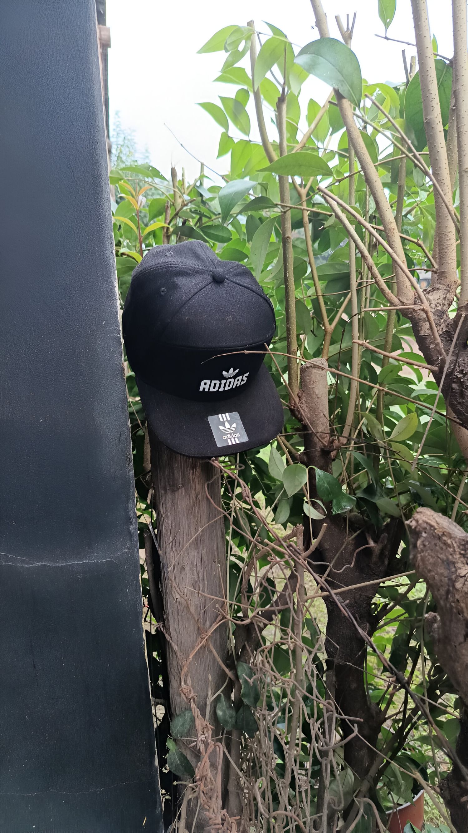 gorra robo gobernador castro