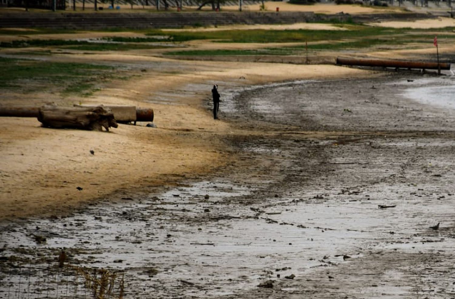 Bajante del Paraná: el INTA busca determinar el impacto en la producción