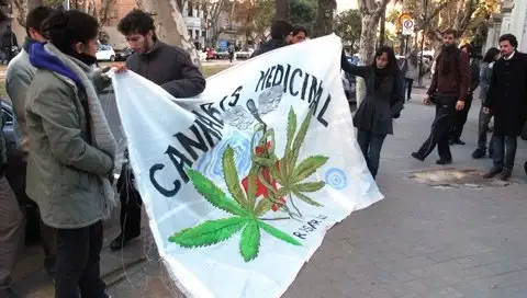 Crecen los pedidos al Iapos por tratamientos con aceite de cannabis