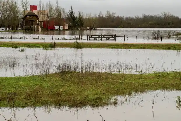 Tras la creciente buscan generar una “defensa natural” en Gualeguaychú
