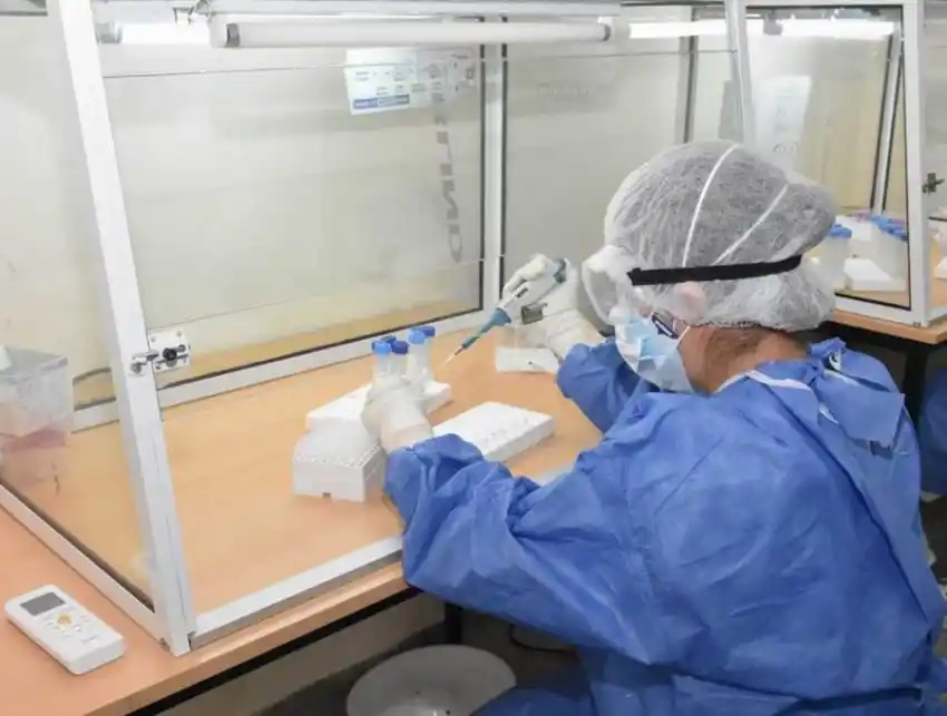 Hay un 90% de posibilidades de que la cepa de Manaos esté en la ciudad de Formosa