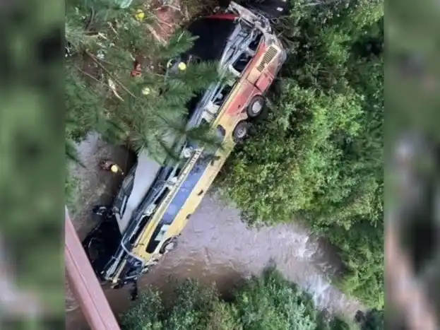 Tragedia en Misiones: un micro chocó con un auto y cayó a un arroyo