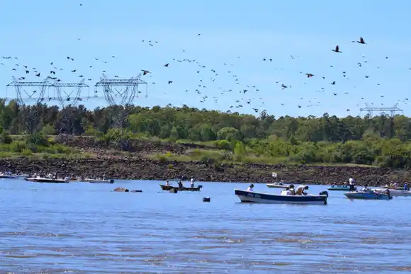 Nueva edición de la Fiesta Nacional Pesca de la Boga