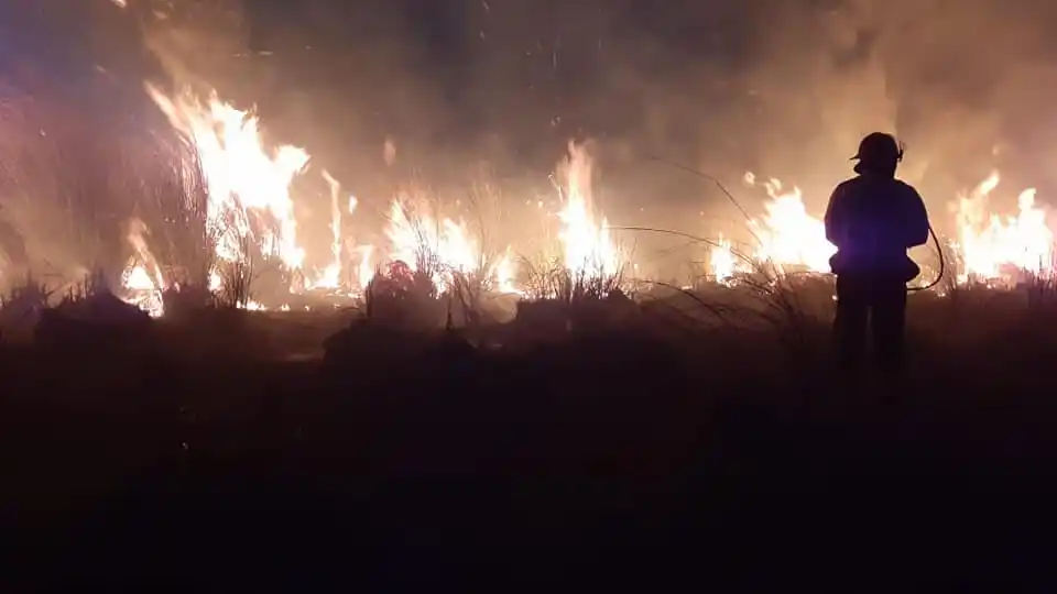 Se montó un operativo para combatir los nuevos focos de incendio registrados en islas del Delta