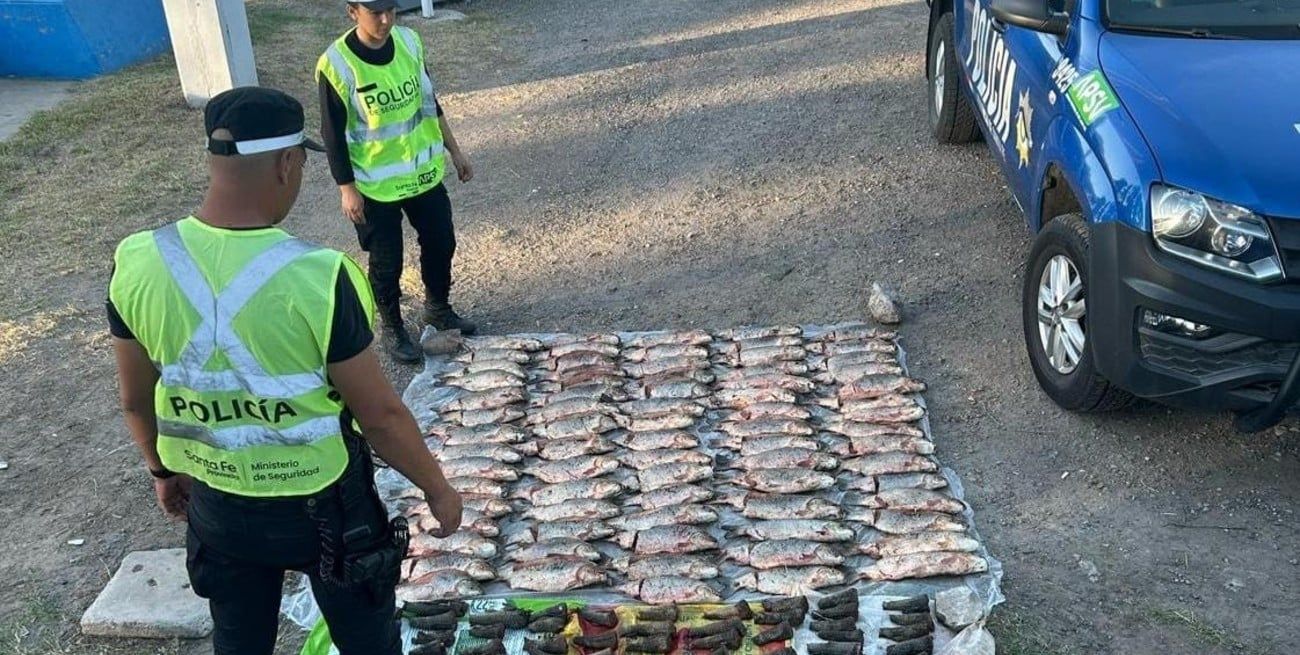 Los pescados decomisados fueron desnaturalizados. Créditos: El Litoral