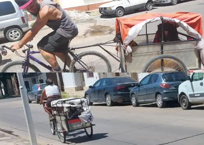 Paseo familiar con hijos perrunos