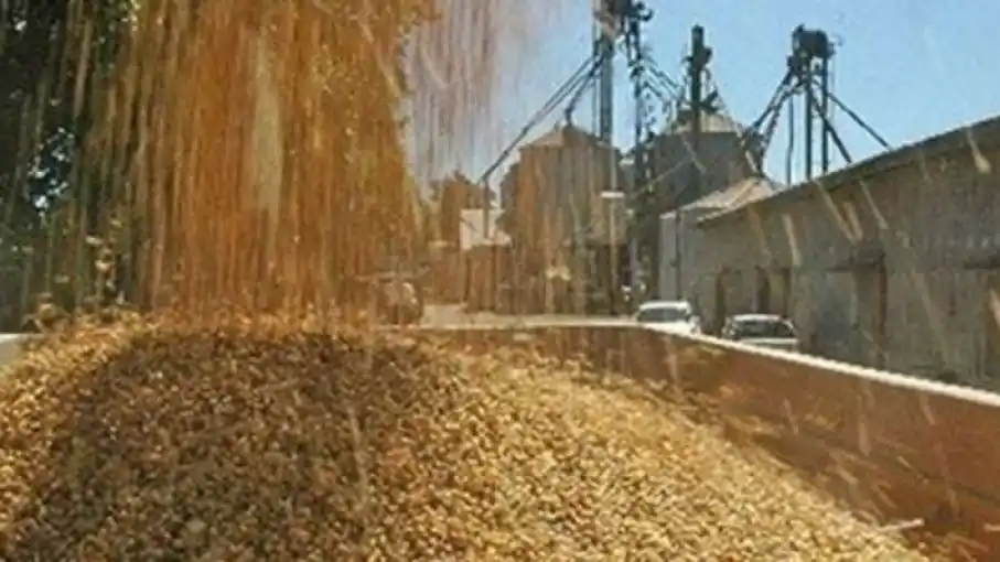 Suspenden a cerealera por no liquidar operaciones