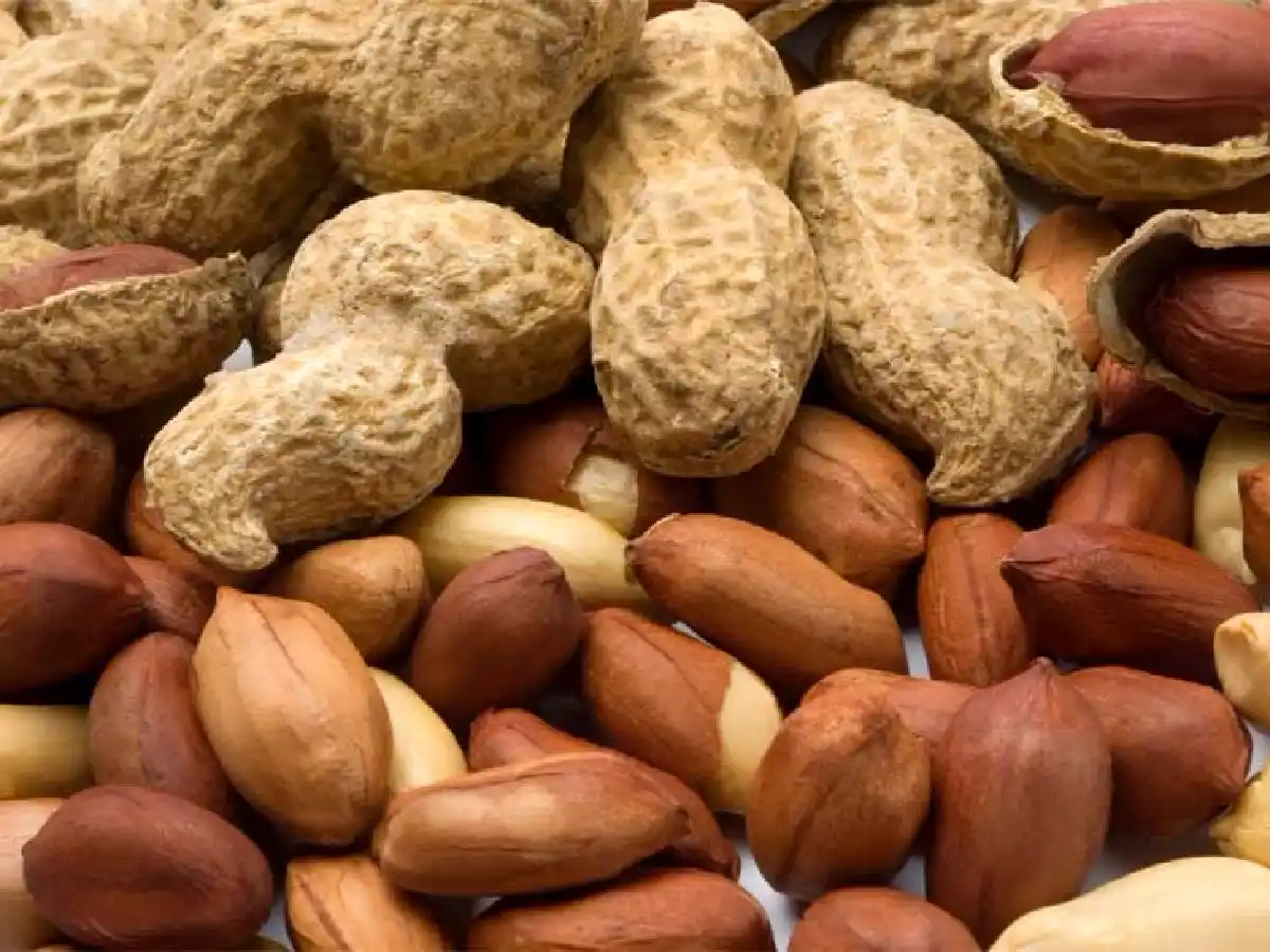 El maní cordobés, el más dulce del mundo