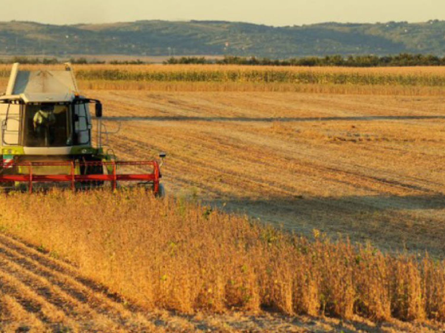 La economía creció 2,6% en mayo tras un año de caídas