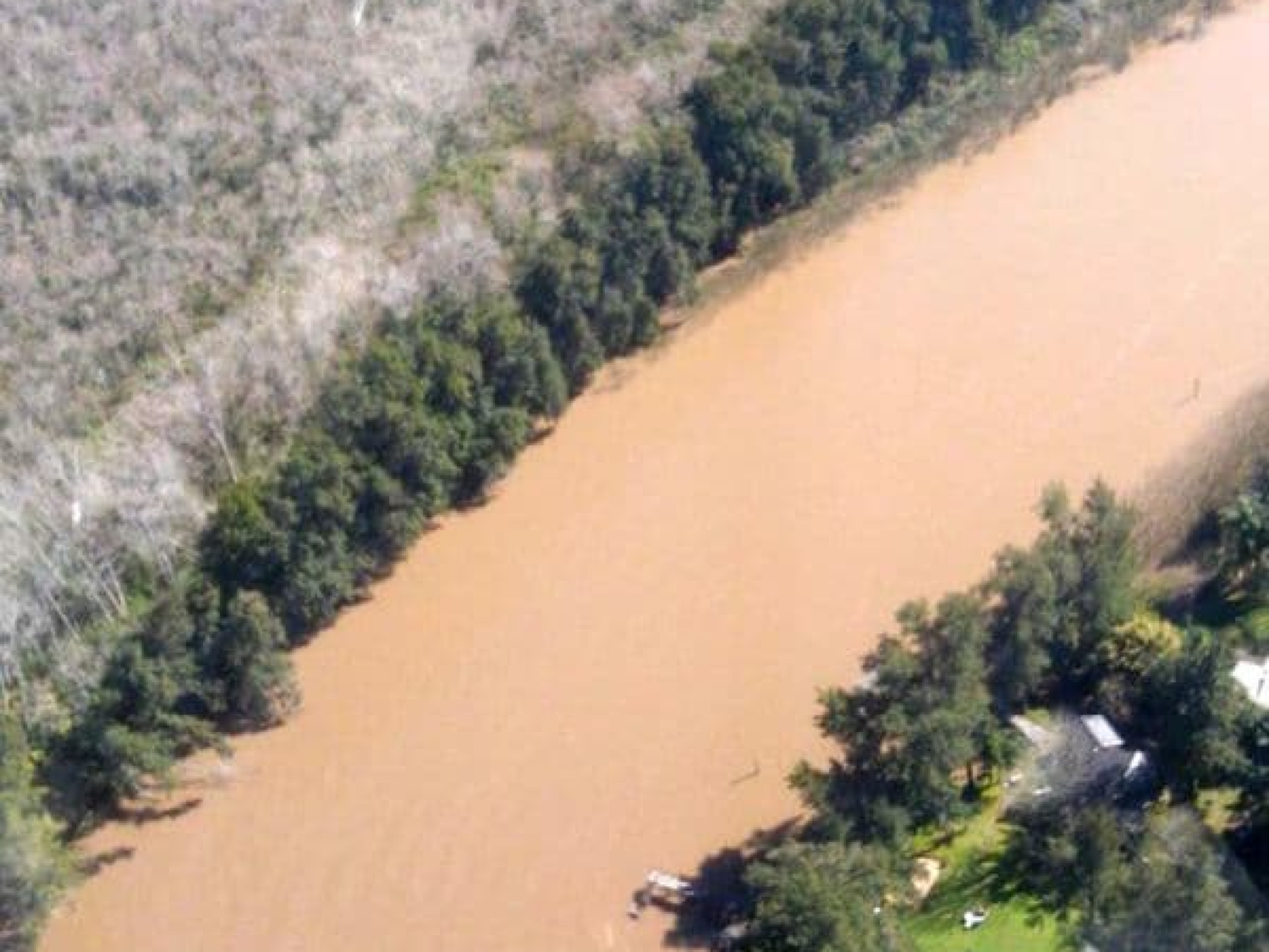 Confirmaron que hay restos humanos en el avión encontrado