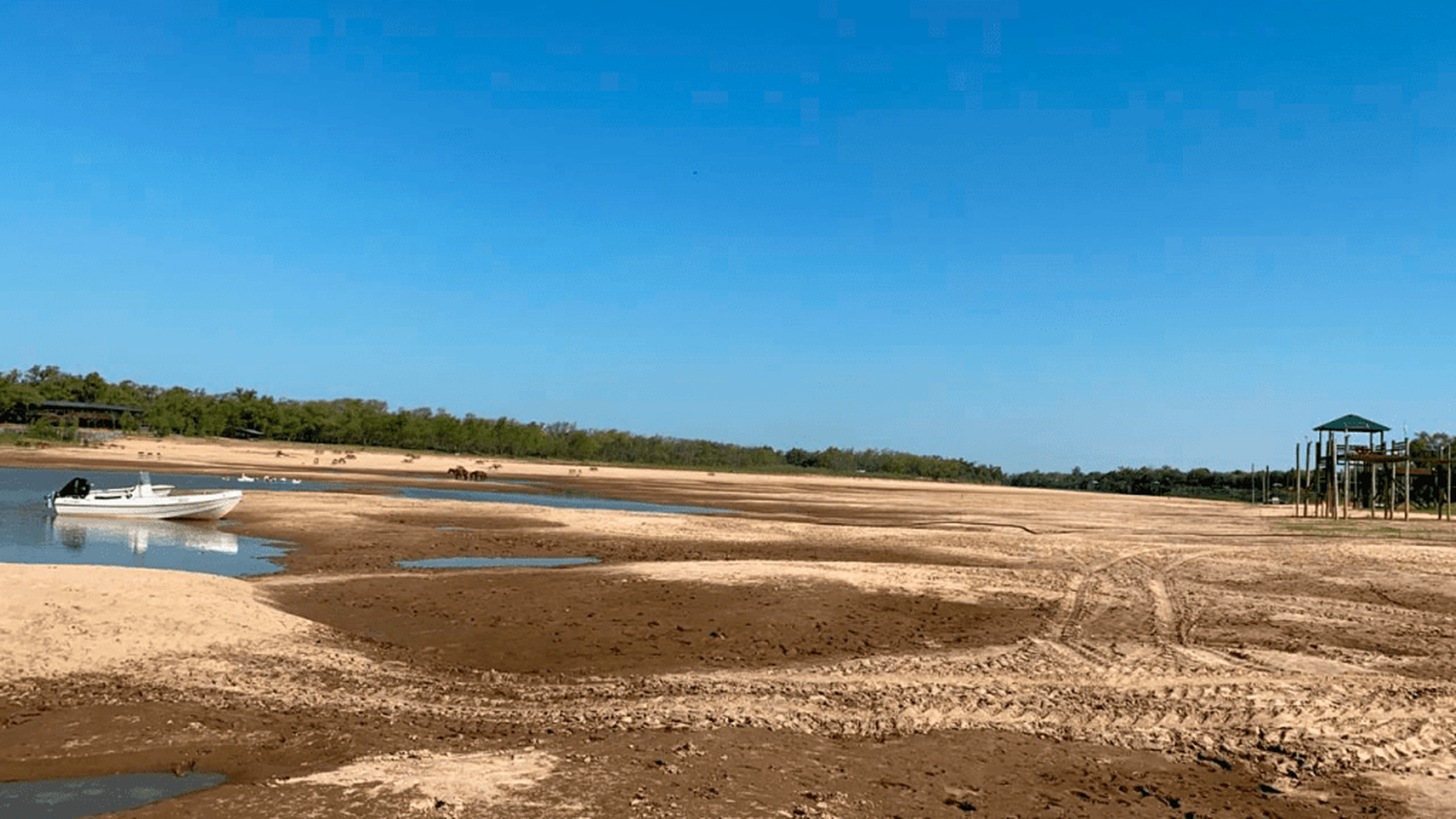 ¿Qué sucede con los peces a medida que se seca el río?