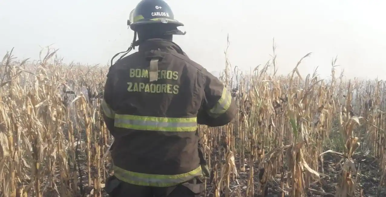 Bomberos controlaron el incendio de un campo de maíz en la ciudad de Santa Fe