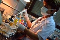 Preocupación por becas Conicet: "Forman científicos para resolver problemas del Estado y los privados"